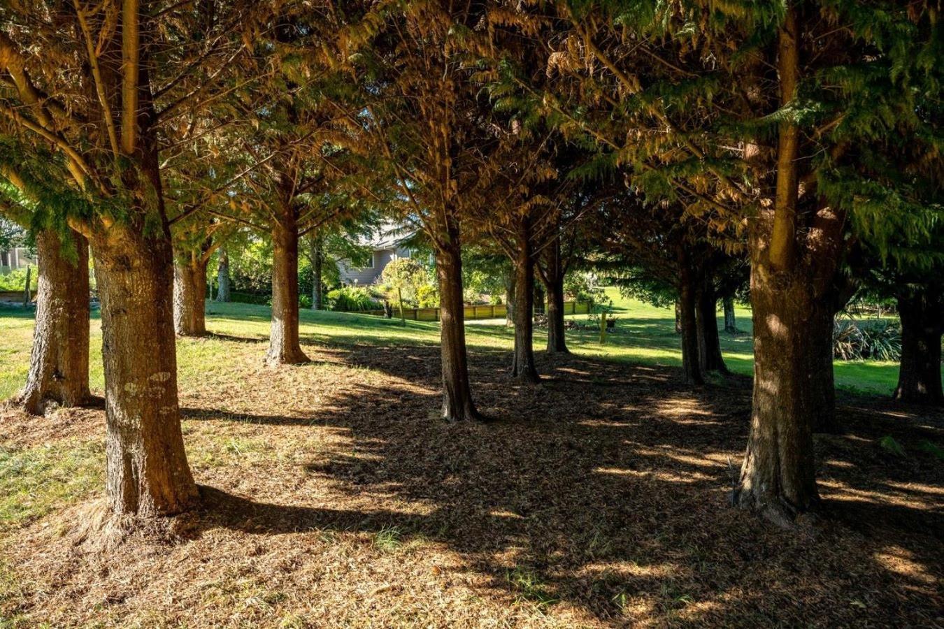 Mountviews Lodge Taupo Ngoại thất bức ảnh